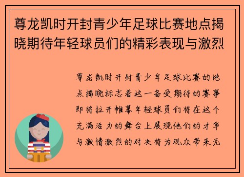 尊龙凯时开封青少年足球比赛地点揭晓期待年轻球员们的精彩表现与激烈对决