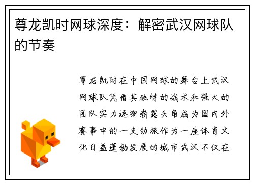 尊龙凯时网球深度：解密武汉网球队的节奏