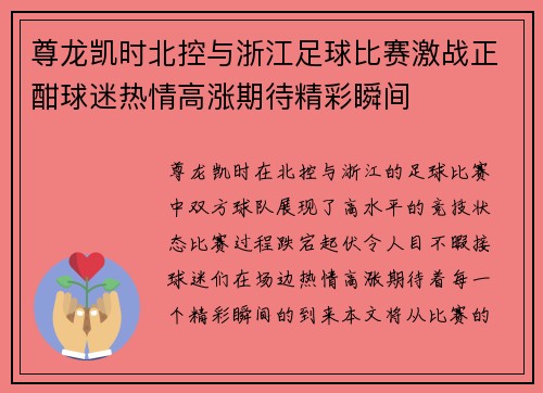 尊龙凯时北控与浙江足球比赛激战正酣球迷热情高涨期待精彩瞬间