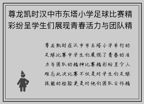 尊龙凯时汉中市东塔小学足球比赛精彩纷呈学生们展现青春活力与团队精神